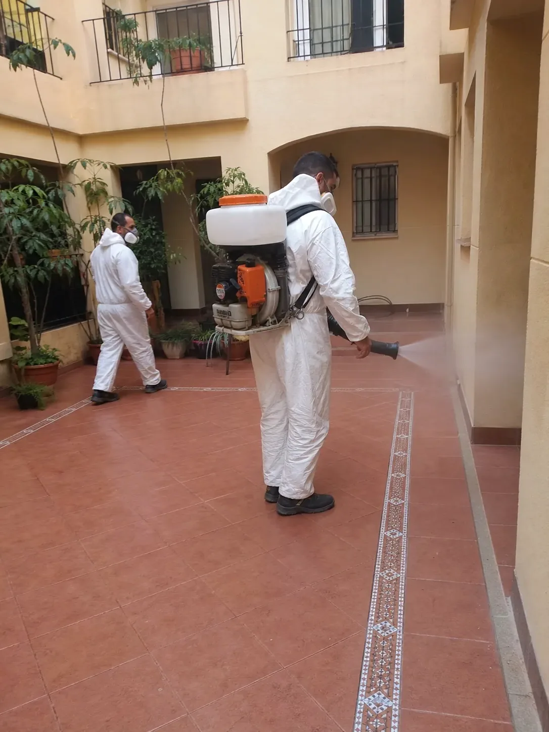 Técnicos de PalauControl aplicando un tratamiento de fumigación
