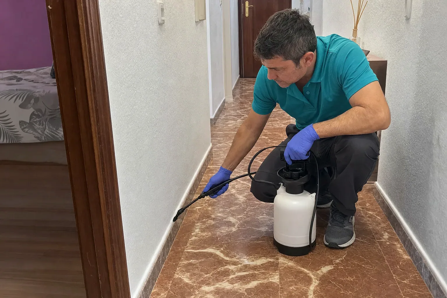 Picaduras al despertar: ¿chinches, pulgas o mosquitos?